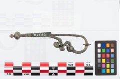 Foto von Bronzeschlangenfibel (NHMW-PRAE-026557)